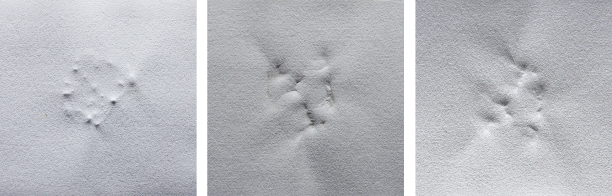 Dorina Csiszár, Lag er schon in der Tasche bereit?, 2020, Steinabdrücke auf Büttenpapier, gefaltetes Leporello, 20 x 20 cm