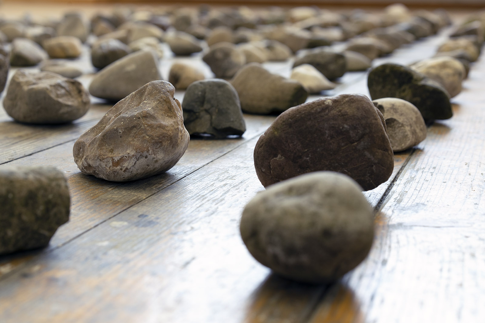 Dorina Csiszár, Lag er schon in der Tasche bereit?, 2020, 200 Steine